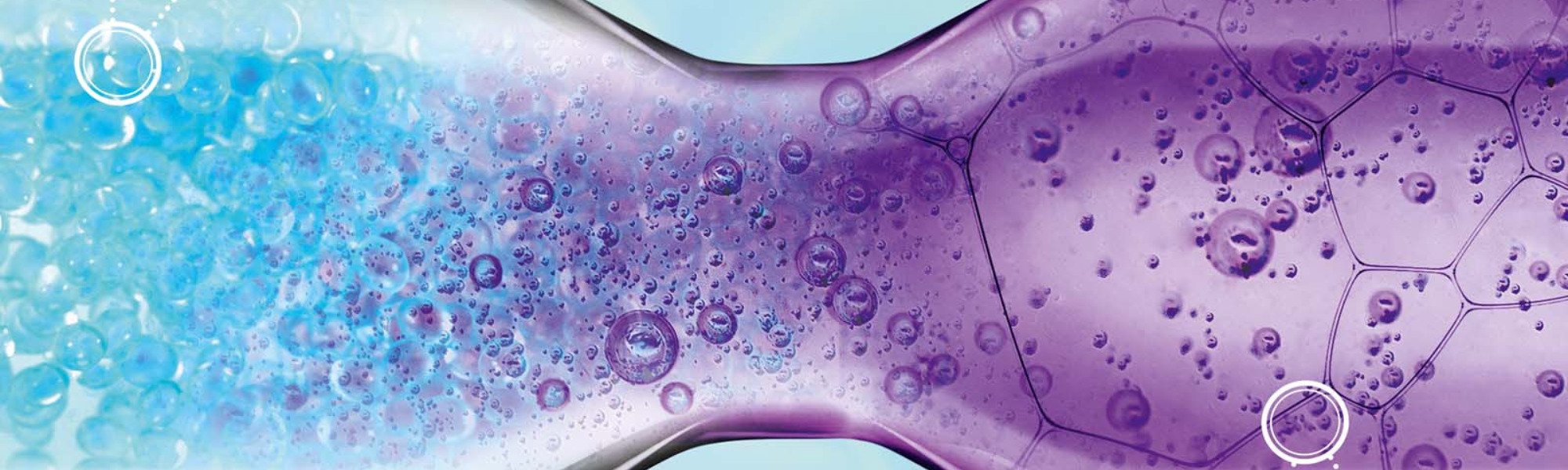 shampoo loreal elvive