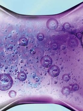 shampoo loreal elvive